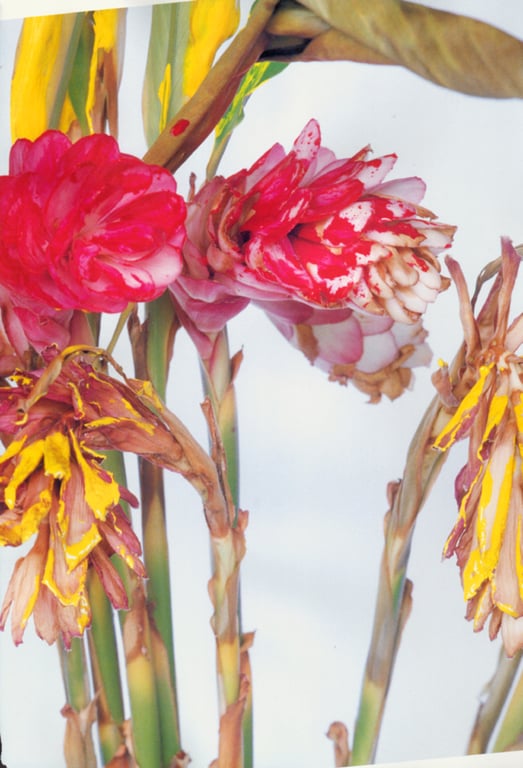 图片[100]-#(月刊シリーズ 050) – 月刊050 奥菜惠 SP - 全本免费在线观看-阅图吧