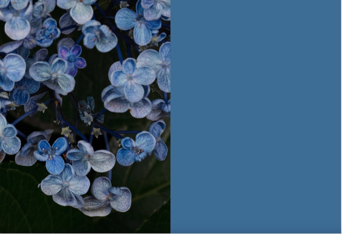 图片[2]-七沢米娅 デジタル写真集 とられち - 阅图吧-阅图吧