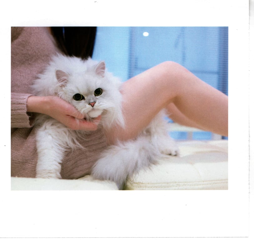 图片[53]-#青山裕企 Photobook 26sets\【青山裕企】猫与大腿 - 全本免费在线观看-阅图吧