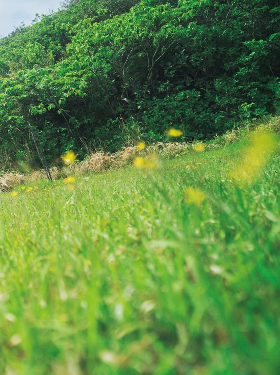 图片[68]-2023.09.22 出口亚梨沙 写真集 Ｅｓｓｅｎｃｅ - 在线免费观看-阅图吧