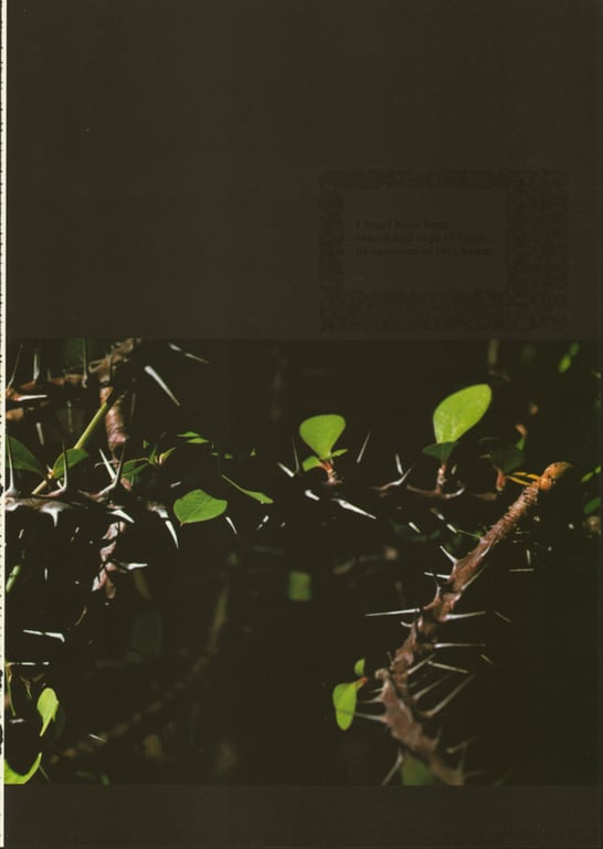 图片[34]-#(月刊系列 040) – 月刊040 安达祐实Special - 全本免费在线观看-阅图吧