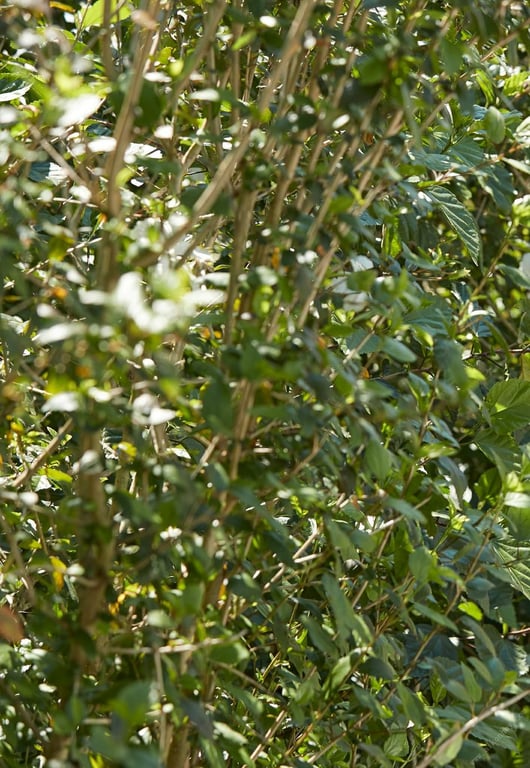 图片[41]-#一見倾心 峮峮个人写真书 数位精华版 (2019-08-02) - 全本免费在线观看-阅图吧