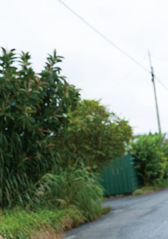 图片[102]-【電子版だけの特典カットつき】yami first写真集 yammy！ - 在线免费观看-阅图吧