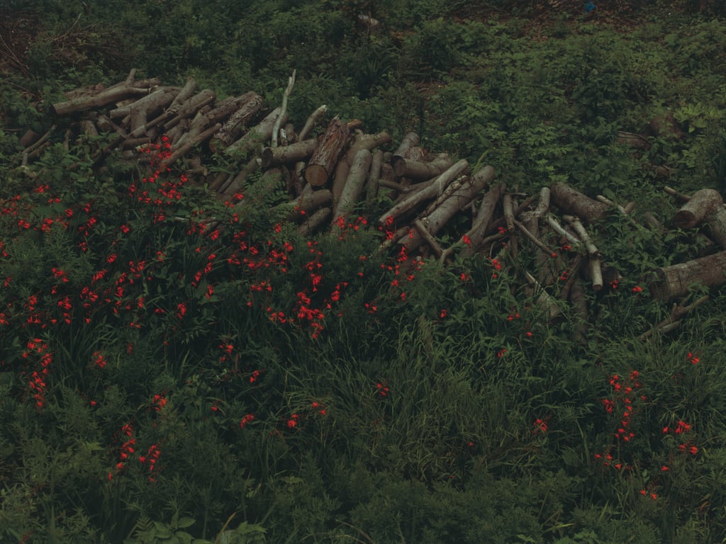 图片[107]-#Neru Nagahama 长滨睡琉1st写真集 从这里 (2017-12-19) - 全本免费在线观看-阅图吧