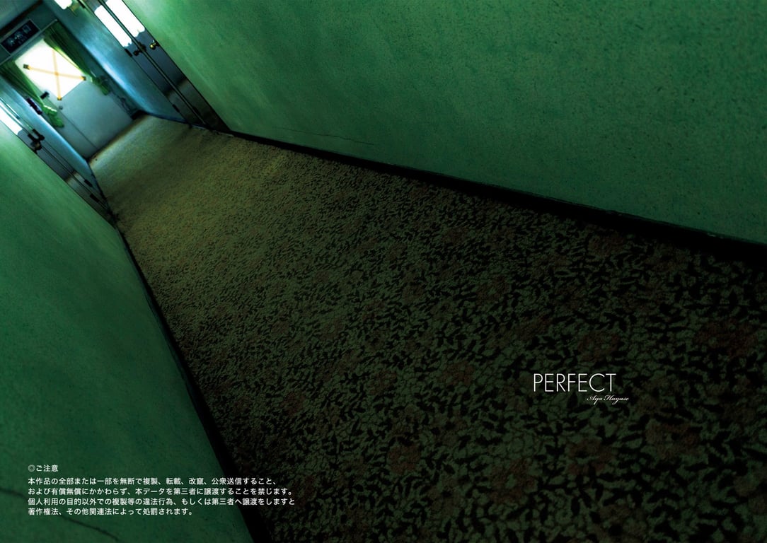 图片[53]-#FLASH数码写真集 早濑文 PERFECT[112P] - 全本免费在线观看-阅图吧