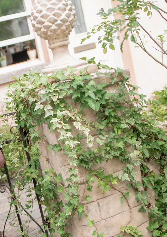 图片[53]-#Rikka Ono 小野六花 – CountSheep【Sleep】 (2021-03-12) - 全本免费在线观看-阅图吧