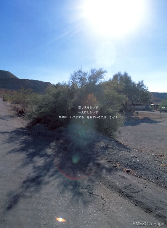 图片[18]-#乙叶 – LOVE STORY - 全本免费在线观看-阅图吧