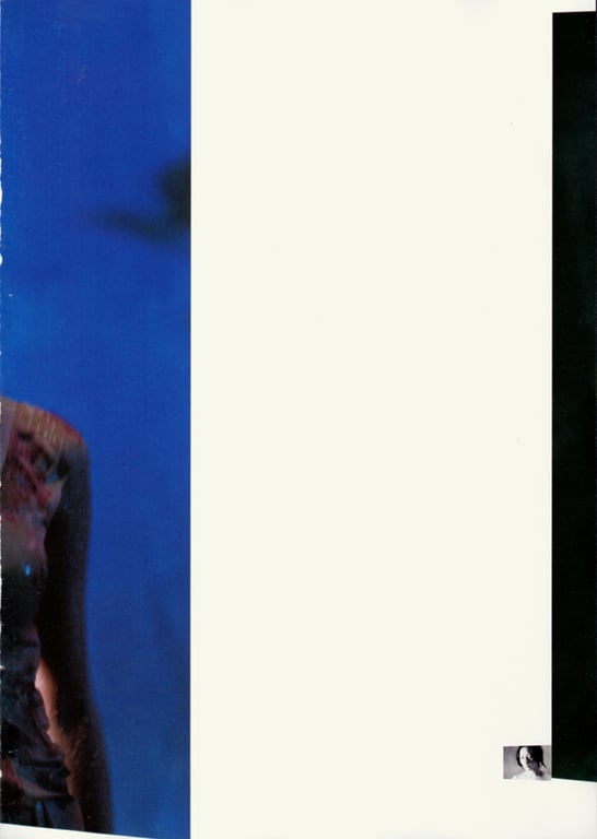 图片[5]-#(月刊シリーズ 050) – 月刊050 奥菜惠 SP - 全本免费在线观看-阅图吧