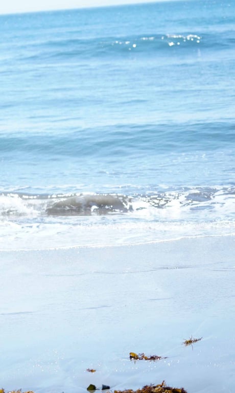 图片[21]-#奈月セナ写真集「夏之女神!～Summer Venus～」 - 全本免费在线观看-阅图吧