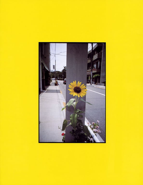 图片[95]-#山本梓 – Azumi Milk - 全本免费在线观看-阅图吧