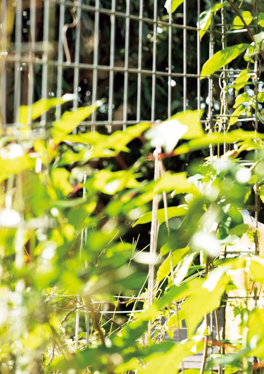 图片[17]-Asuna Kawai 河合明日菜 - 1.618 (2020-02-19)河合明日菜写真集 「1.618」 - 在线免费观看-阅图吧