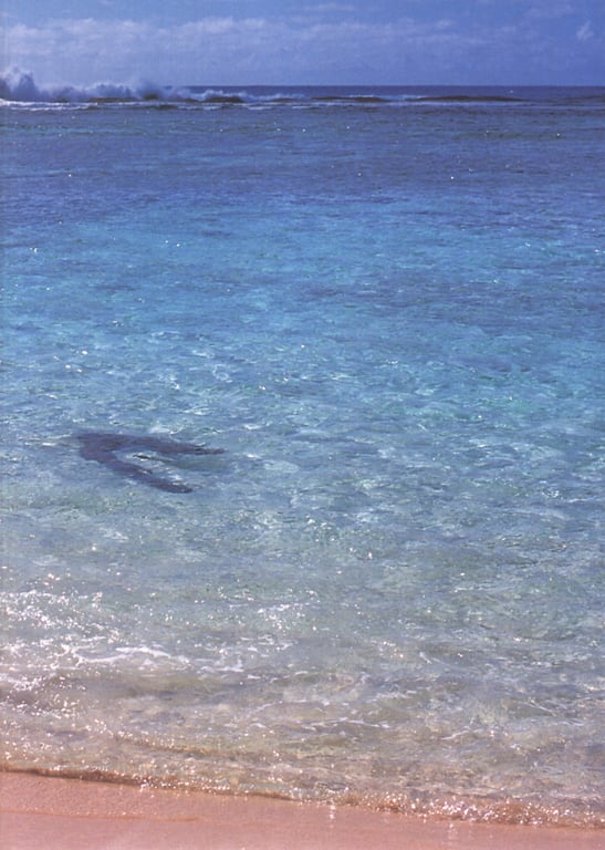 图片[11]-#上堂薗恭子 – K14 (105p) - 全本免费在线观看-阅图吧