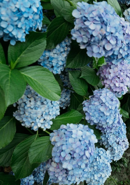 图片[93]-七沢みあ デジタル写真集 とられち(No Watermark) - 阅图吧-阅图吧