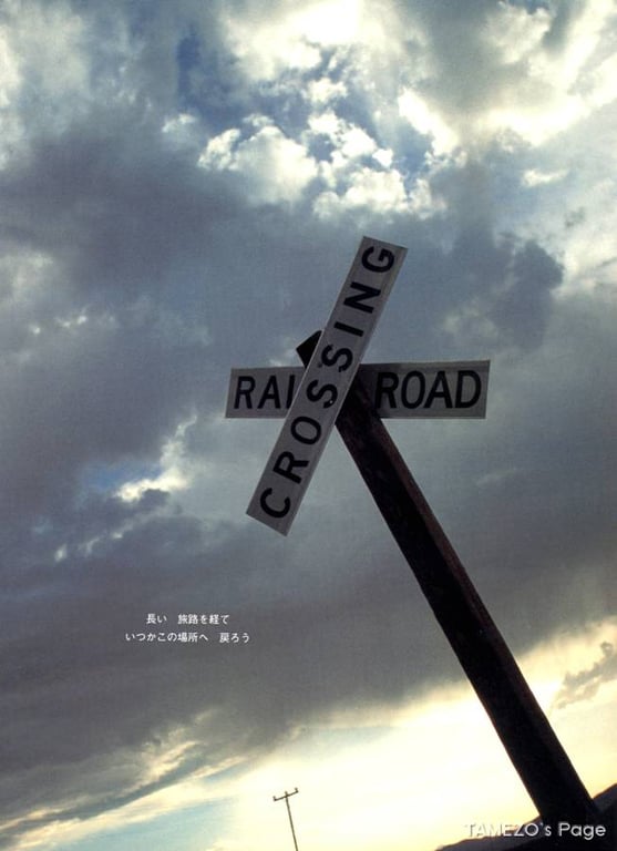 图片[73]-#乙叶 – LOVE STORY - 全本免费在线观看-阅图吧