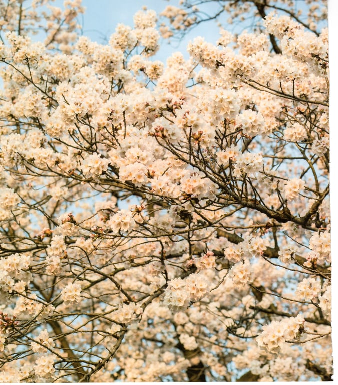 图片[150]-#青山裕企 Photobook 26sets\【青山裕企】青山裕企♡妹妹 - 全本免费在线观看-阅图吧