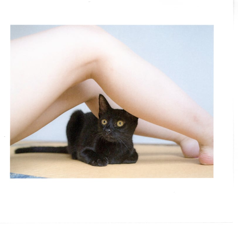 图片[38]-#青山裕企 Photobook 26sets\【青山裕企】猫与大腿 - 全本免费在线观看-阅图吧