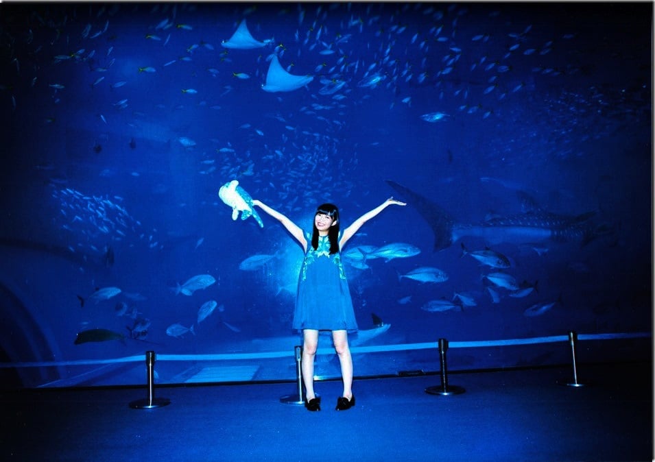 图片[118]-#Rino Sashihara 指原莉乃 – Lost to a cat 输给了猫 (2013-12-26) - 全本免费在线观看-阅图吧