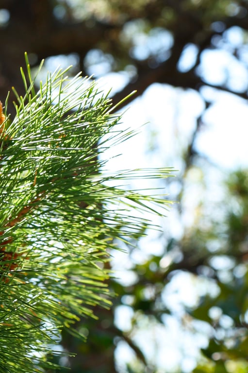 图片[32]-うみに溺れて 及川海【グラビア写真集】 - 在线免费观看-阅图吧