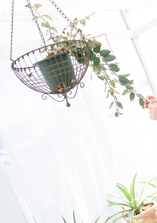 图片[56]-#Mia Nanasawa 七沢美亚 – Count sheep Nap (2020-06-12) - 全本免费在线观看-阅图吧