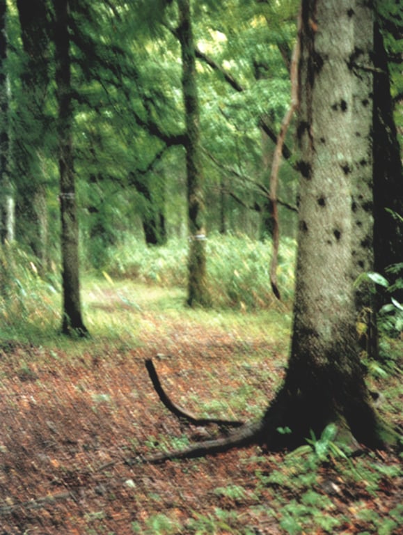 图片[109]-#小仓优子 – 优Q天国 - 全本免费在线观看-阅图吧