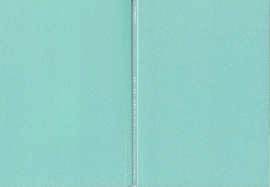 图片[6]-#TEAM SHACHI 艺术书收藏 Vol.1 泡沫之梦 秋本帆华 - 全本免费在线观看-阅图吧