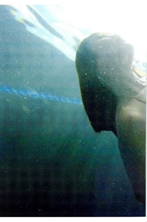 图片[138]-#深田恭子写真集 This Is Me [Low quality version] - 全本免费在线观看-阅图吧