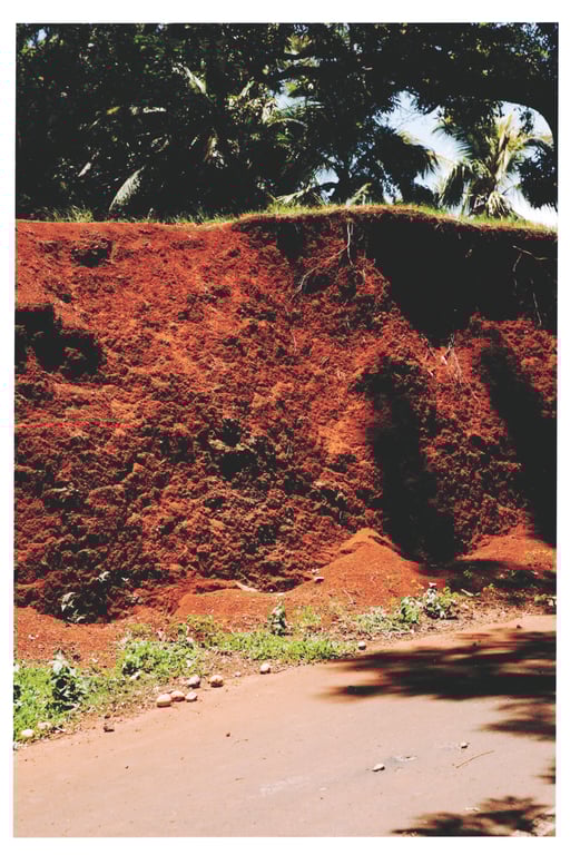 图片[30]-Ayane Suzuki 鈴木絢音 - 1st Photobook The angle of the light 光之角度 (2020-11-10) - 在线免费观看-阅图吧