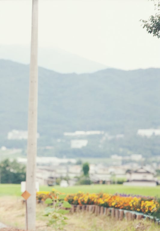 图片[31]-#武井咲 写真集 风中的少女 - 全本免费在线观看-阅图吧