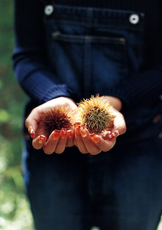 图片[7]-#石川梨华 石川梨华 「 I 」 - 全本免费在线观看-阅图吧