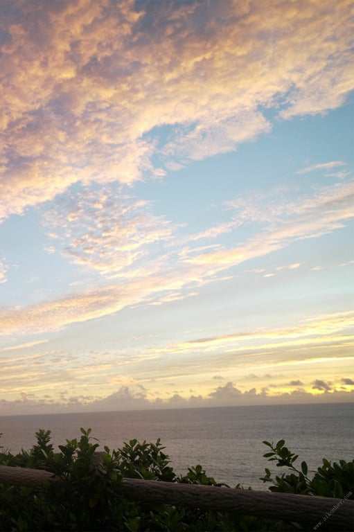 图片[5]-#本庄铃「两人独处官能之旅 全未公开超100张完全版」 FRIDAY数字写真集 - 全本免费在线观看-阅图吧