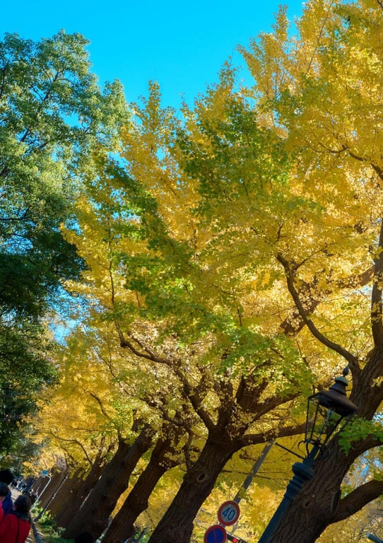 图片[40]-#INORI 花宫祈 1st e-book (Wunder_Publishing_House.) - 全本免费在线观看-阅图吧