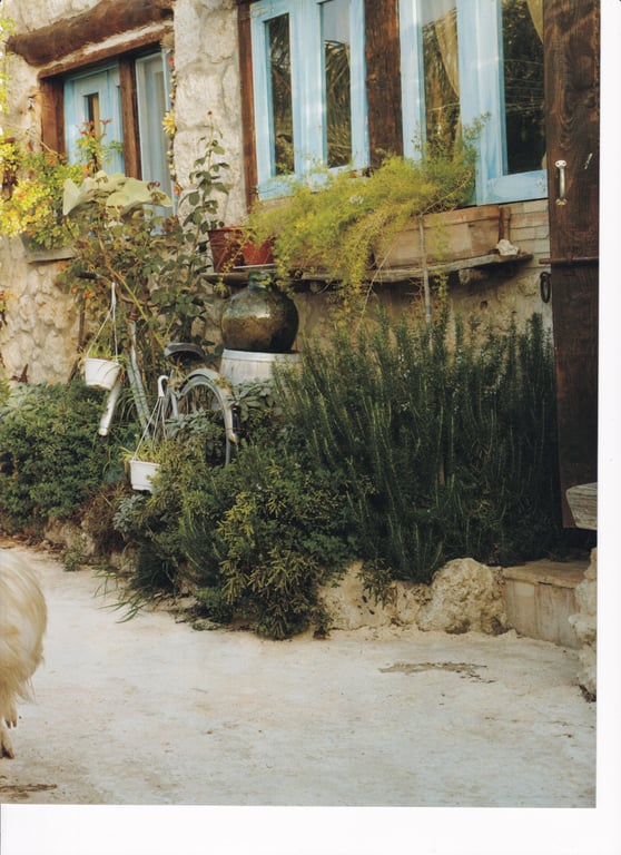 图片[36]-#与田祐希2nd写真集 沉默的时间 (High Qulity) - 全本免费在线观看-阅图吧