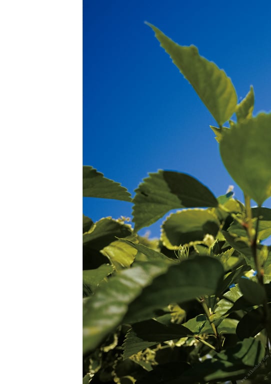 图片[21]-#【特典画像43张附】步利惠子 1st写真集数字完全版 SPHERE - 全本免费在线观看-阅图吧