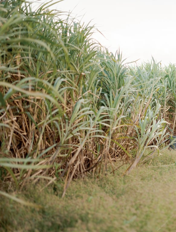 图片[29]-#Ravish 美谷朱里写真集 Asagei SEXY女优写真集 - 全本免费在线观看-阅图吧