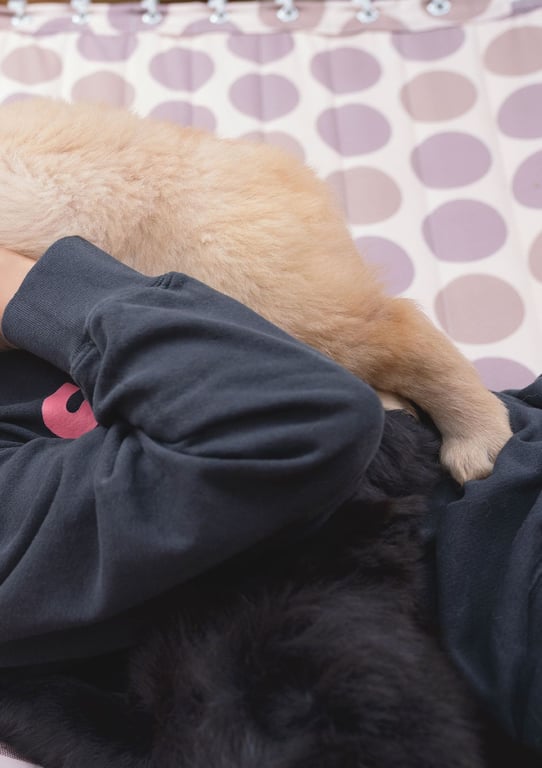 图片[136]-#Kyoko Fukada 深田恭子 – Brand new me (2020-05-13) - 全本免费在线观看-阅图吧