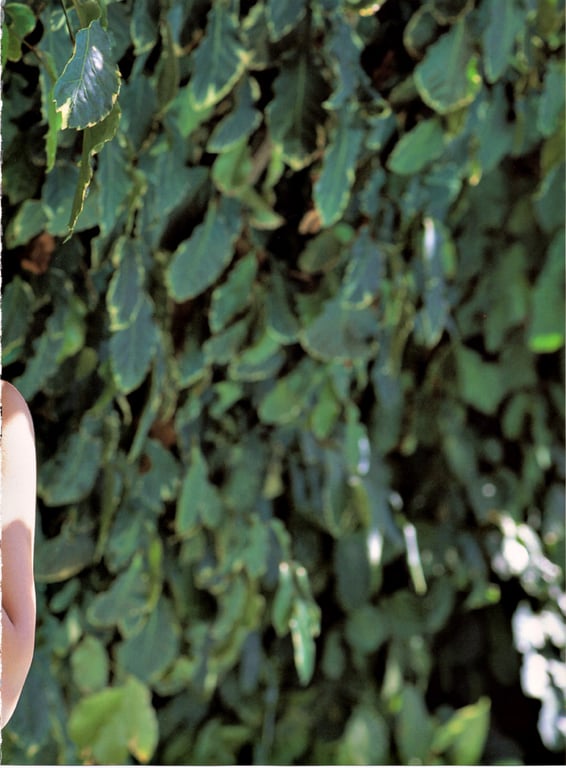 图片[51]-#釈由美子 – Sirene - 全本免费在线观看-阅图吧