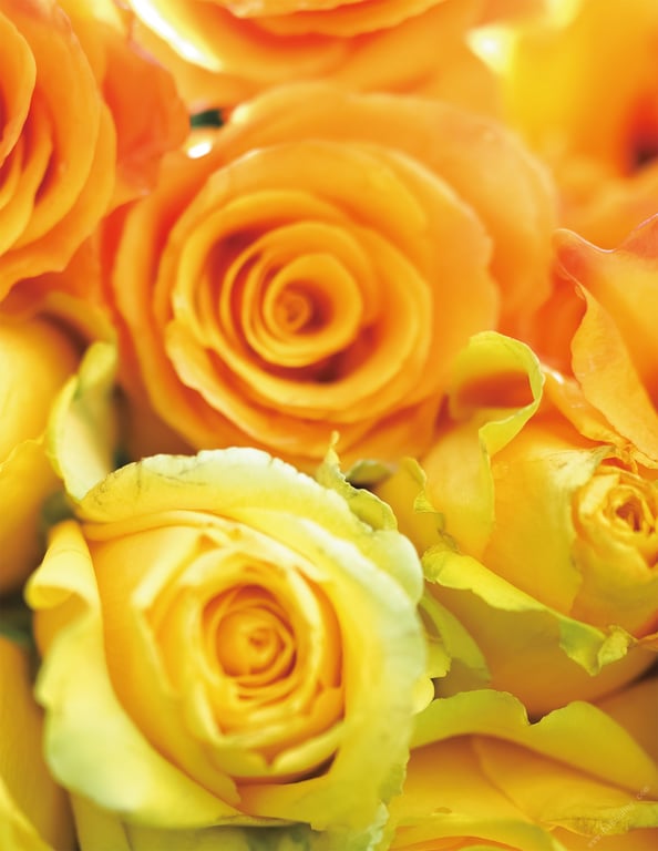 图片[119]-#Tsukasa Aoi -假面舞会- 葵司 アサ芸SEXY Masquerade (2019.09.20) - 全本免费在线观看-阅图吧