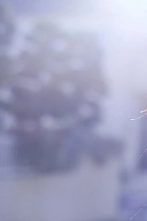 图片[15]-#週刊現代デジタル写真集 相乐树“Colorful”(2017-10-27) - 全本免费在线观看-阅图吧