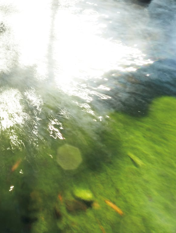 图片[4]-#飛鳥凛写真集『凛』 - 全本免费在线观看-阅图吧