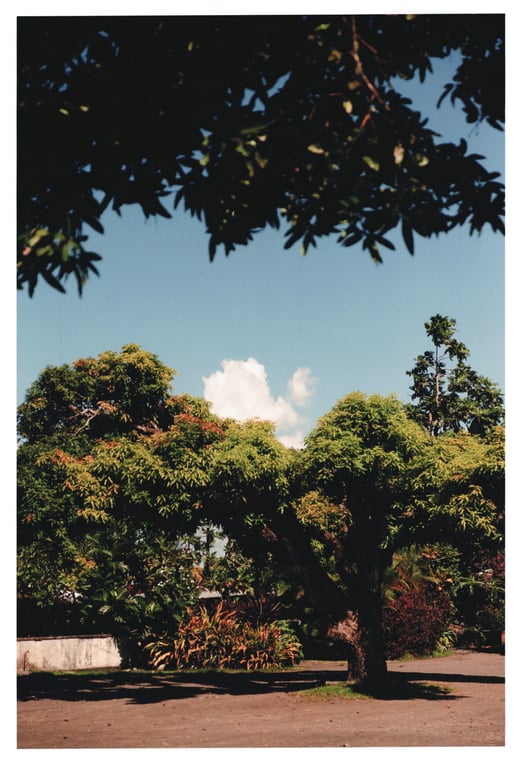 图片[42]-Ayane Suzuki 鈴木絢音 - 1st Photobook The angle of the light 光之角度 (2020-11-10) - 在线免费观看-阅图吧