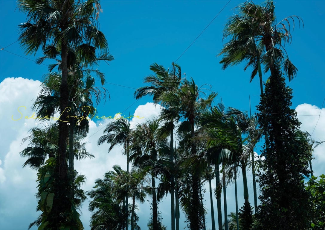 图片[3]-#緒方咲 写真集 咲千的长假期 saki’s long vacation (Wunder Publishing House) - 全本免费在线观看-阅图吧