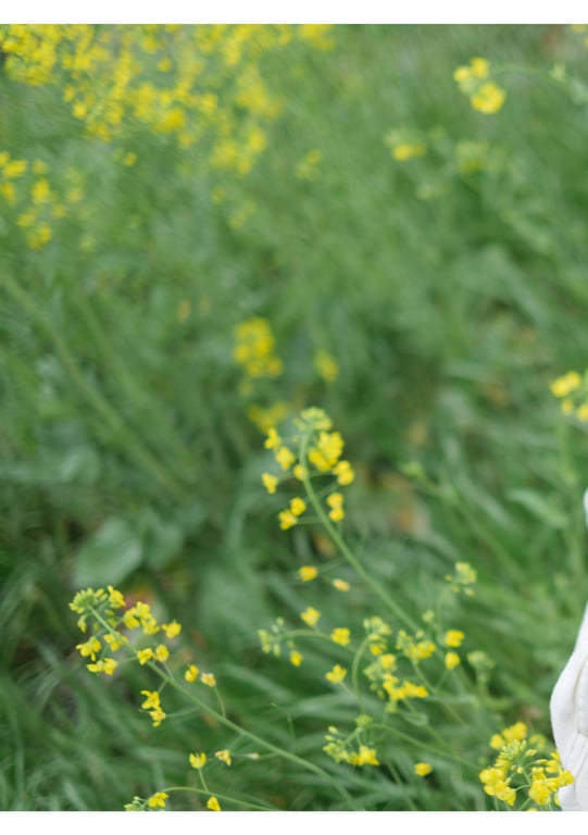 图片[93]-被夺走 小仓七海 - 在线免费观看-阅图吧