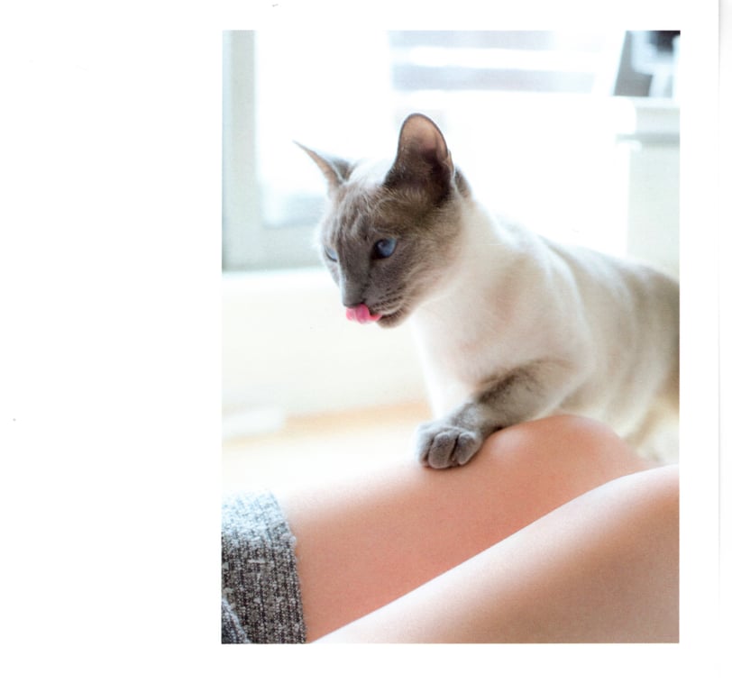 图片[41]-#青山裕企 Photobook 26sets\【青山裕企】猫与大腿 - 全本免费在线观看-阅图吧
