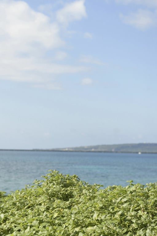 图片[83]-#三宫椿 太色情了 vol.2 全未公开100张超完全版 FRIDAY数字写真集 - 全本免费在线观看-阅图吧