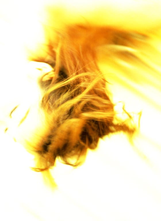 图片[100]-#佐藤江梨子 – 搬家 - 全本免费在线观看-阅图吧