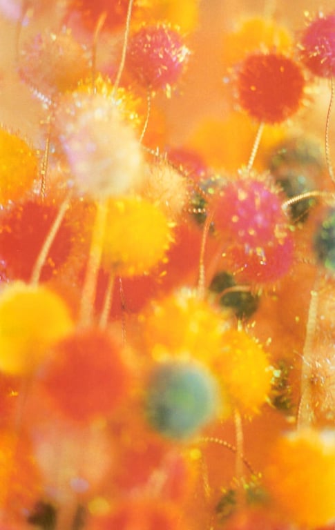 图片[38]-#(月刊シリーズ 043) – 月刊043 遠藤久美子 - 全本免费在线观看-阅图吧