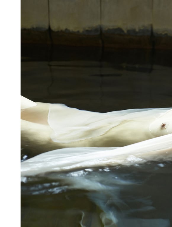 图片[125]-#飛鳥凛写真集『凛』 - 全本免费在线观看-阅图吧