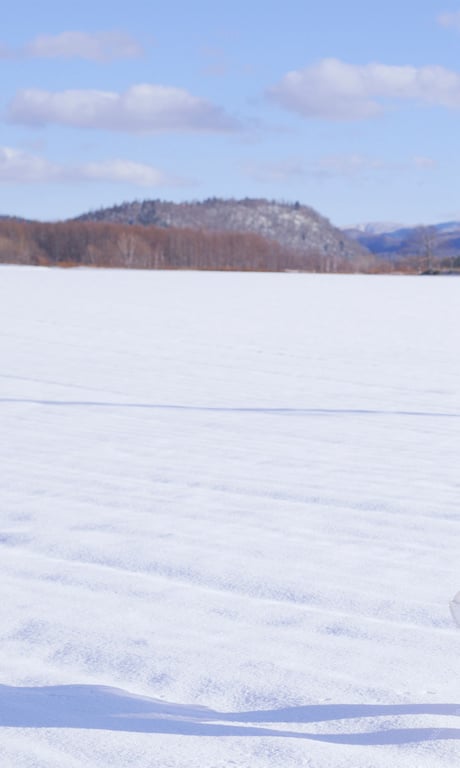 图片[153]-WPB 小宫有纱数字写真集～特装合本版～ 週プレ PHOTO BOOK (2019-03-25) - 在线免费观看-阅图吧