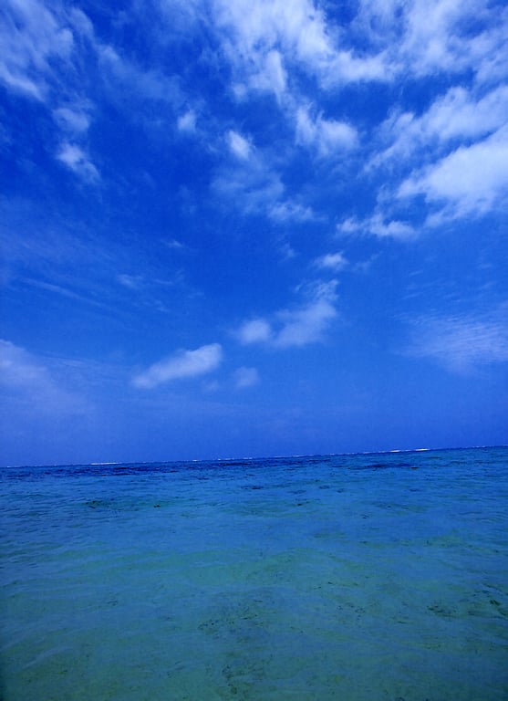 图片[70]-#Misako Yasuda 安田美沙子 – tiara (2004-07-05) - 全本免费在线观看-阅图吧