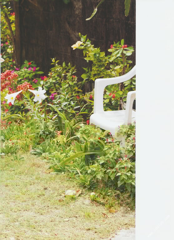 图片[50]-#武井咲 写真集 PLUMERIA - 全本免费在线观看-阅图吧